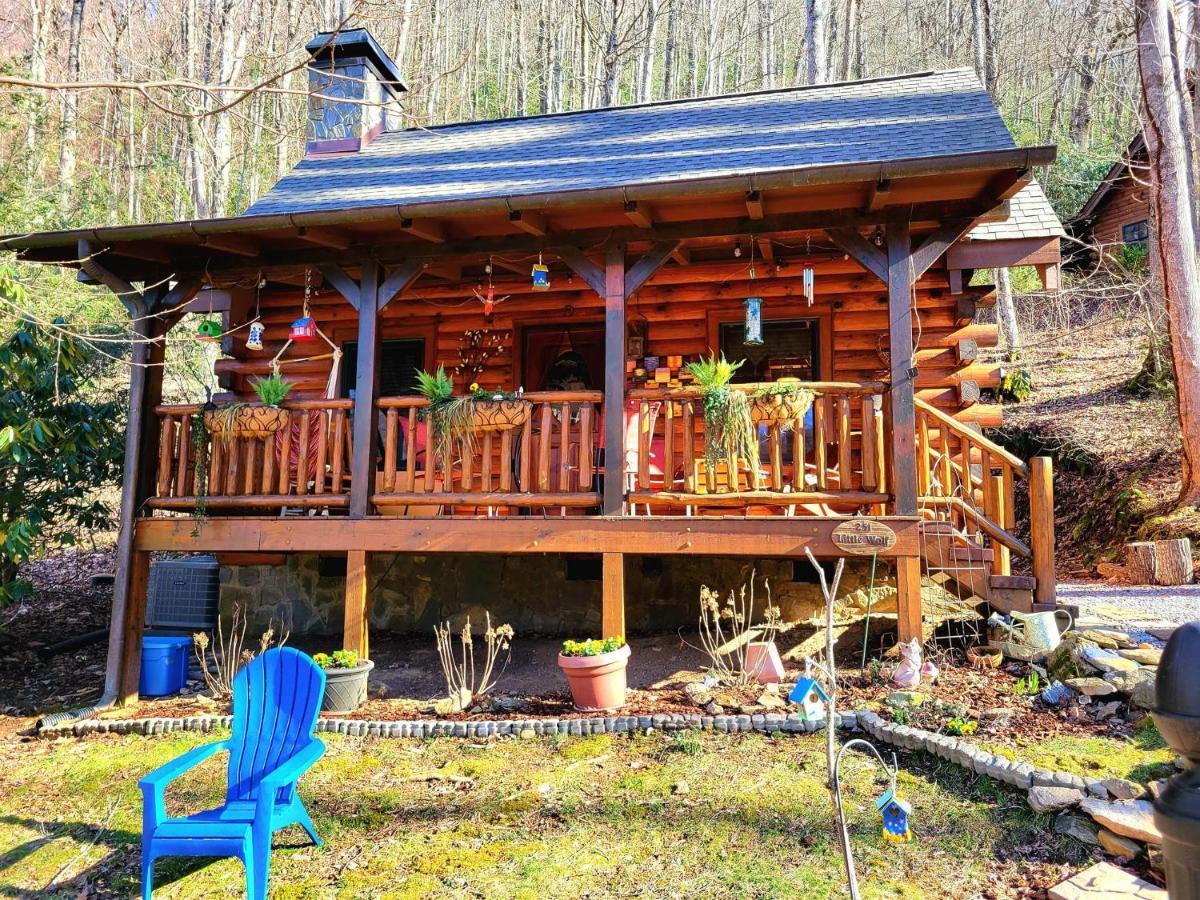 מגי ואלי The Little Wolf Cabin מראה חיצוני תמונה